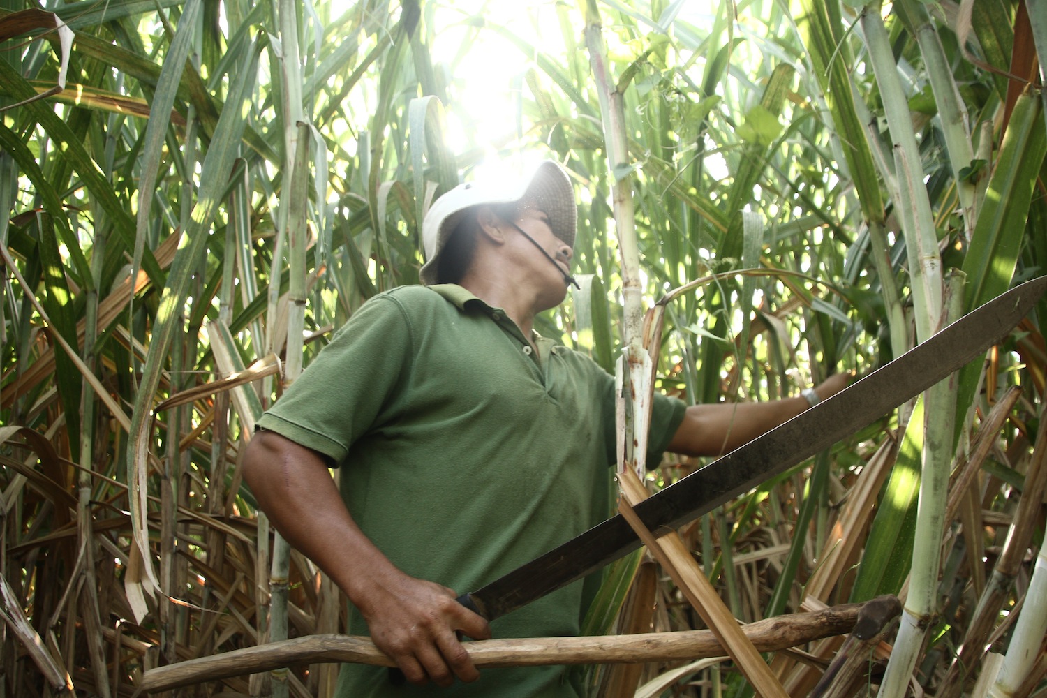 Sugarcane worker in Ingenio San Antonio