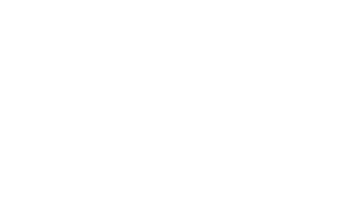 coldvest
